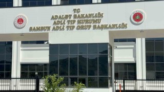 Ihlamur ağacından düşen yaşlı adam hayatını kaybetti
