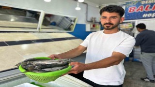 İnci kefali tezgâhlardaki yerini aldı