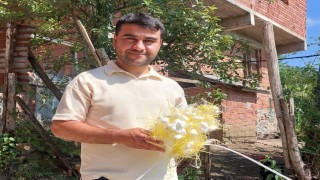 İpek böceği üreticisinden alternatif gelir çağrısı: 1 dönüm araziden 130 bin lira gelir