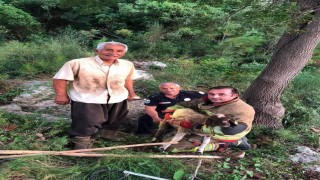 İskenderunda dereye düşen koyun itfaiye ekiplerince kurtarıldı