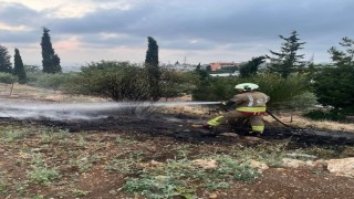 İskenderun'da otluk alan yangını