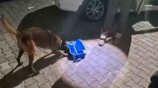 İstanbul'dan Ankaraya uyuşturucu sevkiyatı Sakaryada engellendi: 2 tutuklama