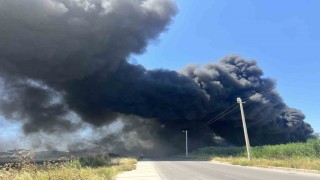 İzmir'de geri dönüşüm fabrikasında korkutan yangın