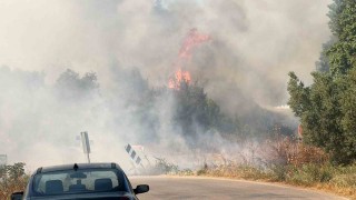 İznikte korkutan yangın