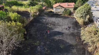 Jandarma, alevlerin arasındaki kaplumbağa ve yavrularını kurtardı