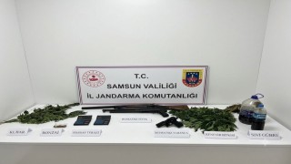 Jandarma uyuşturucu, silah ve kenevir ele geçirildi