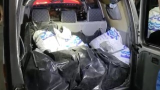 Kaçak toplanan 150 kilo kara kıllı midye denize geri bırakıldı
