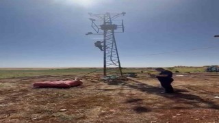 Kaçak trafonun sökülmesini engellemek için elektrik direğine çıktı