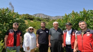 Kahramanmaraşta 22 bin sumak fidanı verime geçti