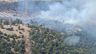 Kahramanmaraş'ta Orman Yangını Kontrol Altına Alındı