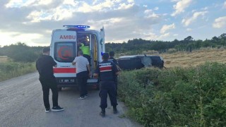 Kamyonet tarlaya devrildi: 1 yaralı