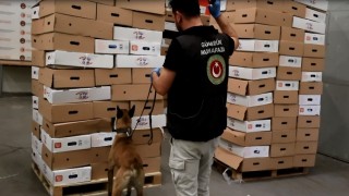 Kapıkulede tavuk kolilerinden uyuşturucu çıktı: 526 kilo esrar ele geçirildi