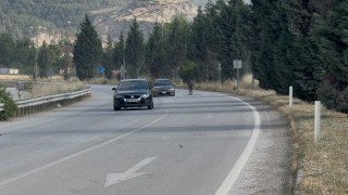 Kara yoluna çıkan eşek trafiği tehlikeye düşürdü