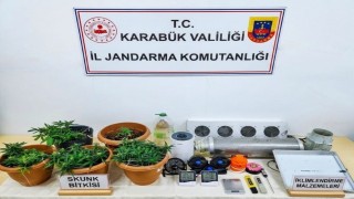 Karabükte uyuşturucu operasyonu: Skunk serası ortaya çıkarıldı