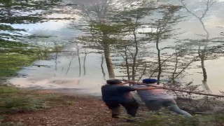 Karacabeyde orman yangını