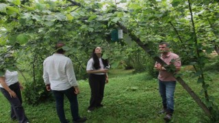 Karadeniz Havzasında 3 ülkeden tarımsal iş birliği