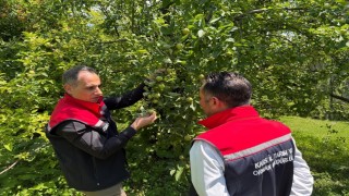 Karsta meyveciliğe güç katacak ziyaret: Enver Aydından Sarıkamışta verimli üretim için 5 altın tavsiye