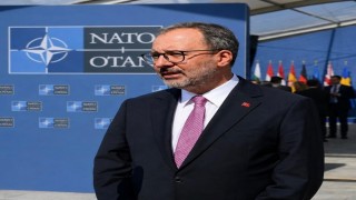 Kasapoğlu: NATOnun yeni sözler söylemesi lazım