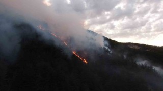 Kastamonudaki orman yangınına müdahale sürüyor