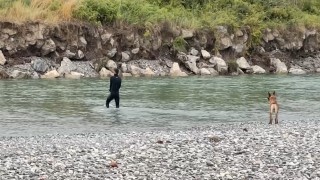 Kelkit Irmağında kaybolan genç için arama çalışmaları yeniden başladı