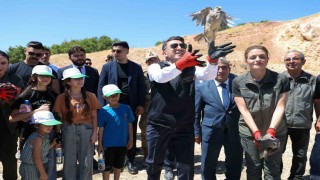 Kenelere karşı mücadele sürüyor: Tuncelide 500 kınalı keklik doğaya salındı