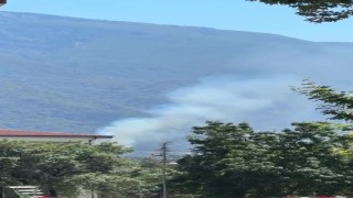Kestelde orman yangını