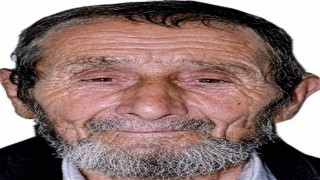 Kestiği ağacın altında kalan yaşlı adam hayatını kaybetti