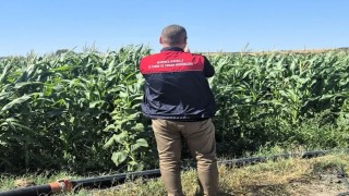 Kırklarelide tarım arazileri tek tek kontrol ediliyor