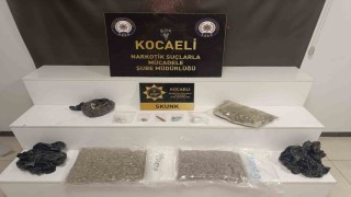 Kocaelide kilolarca skunk ele geçirildi