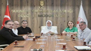Konuralp pirinci ve Düzce kestane kabağı market raflarına taşınıyor