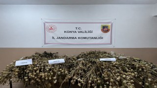 Konyada jandarmadan uyuşturucu operasyonları: 5 tutuklama