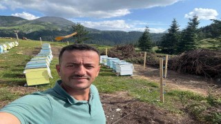 Koruma altındaki gelincik Ilgaz Dağında görüntülendi
