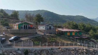 Kozanda hedef sıfır sahipsiz sokak hayvanı