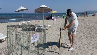 Kuşadasında caretta carettalardan umutlandıran yuva
