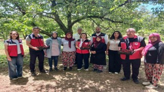 Kütahya'da organik tarım ve iyi tarım projeleri masaya yatırıldı