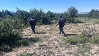 Kütahyada orman yangınlarına karşı jandarma teyakkuza geçti
