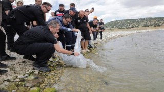 Kütahyada Porsuk Barajı Göletine 107 bin 500 balık yavrusu bırakıldı