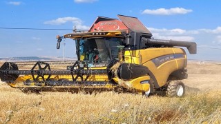 Kütahyada yerli ve milli arpa çeşitlerinde verimli hasat