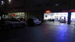Malatyada dut ağacı kavgasında 2 tutuklama