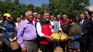 Malatyada kayısı hasadına katılan Bakan Yumaklı: Geçtiğimiz senenin o karamsar zamanını üzerimizden atan çok güzel bir ürün görüyoruz
