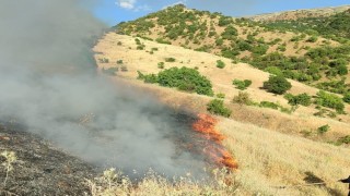 Malatyada orman yangını