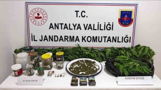 Manavgatta 2 kilo kubar esrar ve 130 kök kenevir ele geçirildi