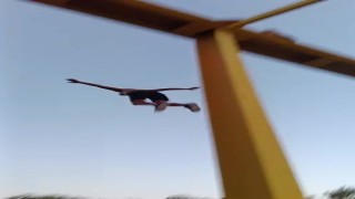 Manavgatta 20 metre yükseklikteki köprüden çocukların tehlikeli atlayışı