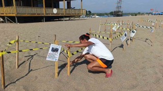 Manavgatta caretta caretta yavrularına koruma nöbeti