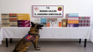 Mardin'de kaçak tütün operasyonunda 2 gözaltı