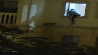 Mardinde mahsur kalan kedi kurtarıldı