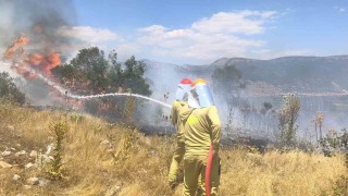 Menteşede makilik yangını