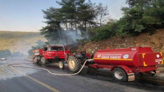 Menteşede orman yangını büyümeden söndürüldü