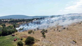 Menteşedeki makilik yangını kontrol altına alındı