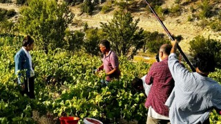 Mersin, Film Platosu Olma Yolunda: 'Üzümün Mirası' Belgeseli Beyazperdeye Taşınıyor